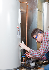 Slide of Edw F Radtke & Sons