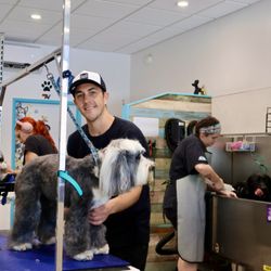 La Jolla Grooming Company