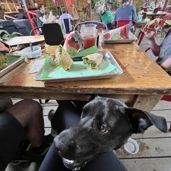 Yellow Dog Eats - Sandwiches Near Me - Windermere, Florida