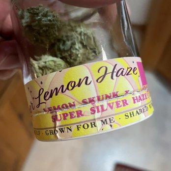 Kush21 - Grown for me.  Shared with you.  Love it - Cannabis Dispensaries Near Me - Seattle, Washington