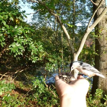 Ipswich River Wildlife Sanctuary - Parks Near Me - Topsfield, Massachusetts