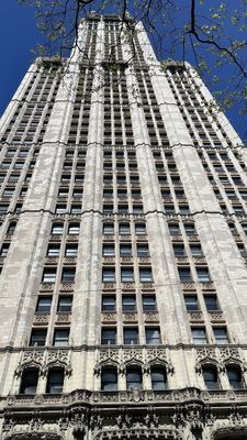 The Woolworth Building by null