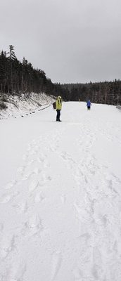 Skyline Trail by null