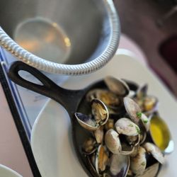 Harbor Lights - Manila Clams $15 HH Price!