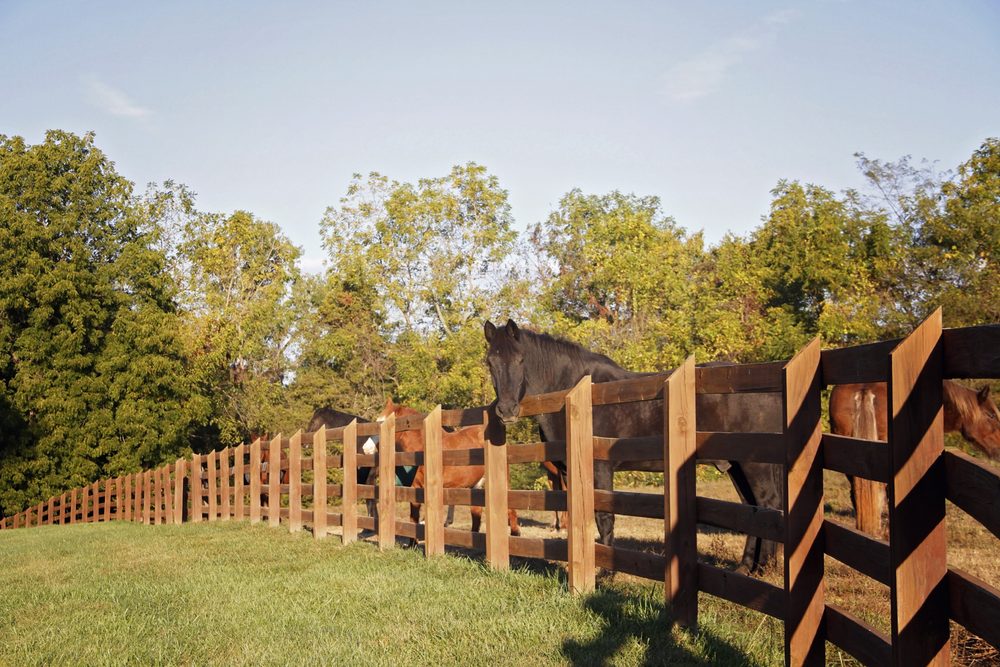 MANE EVENT ADVENTURES Updated June 2024 Request a Quote 15 Photos