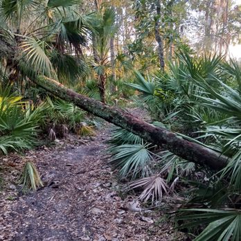 Bulow Creek State Park - Parks Near Me - Ormond Beach, Florida