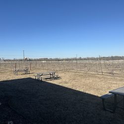 Majesty Tours - Vineyard