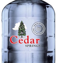 Cedar Springs