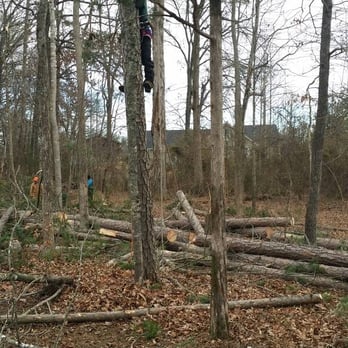 Golden Glove Tree Service - Tree Services Near Me Golden Glove Tree Service - Tree Services Near Me