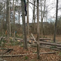 Golden Glove Tree Service