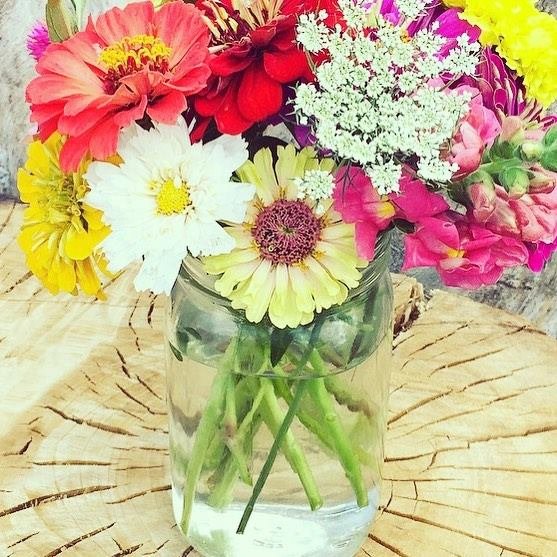 Storybook Flowers - social services organization in Fort Collins, CO