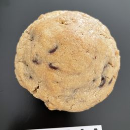 Chocolate Chip Walnut Cookie