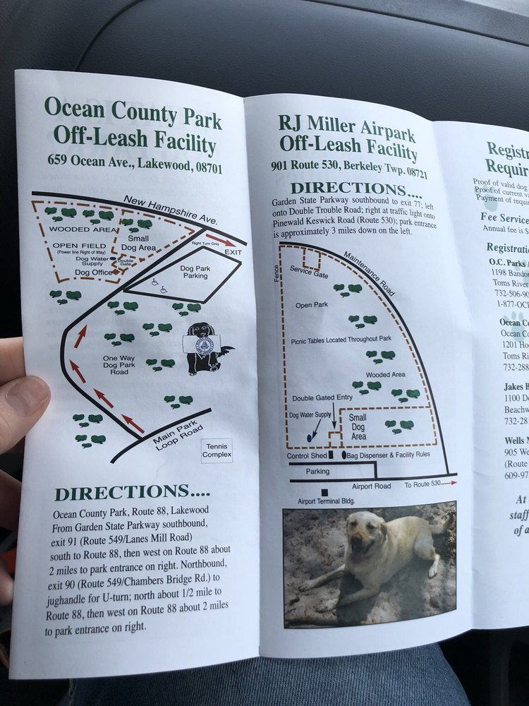 RJ Miller Airpark Off-Leash Dog Park Image