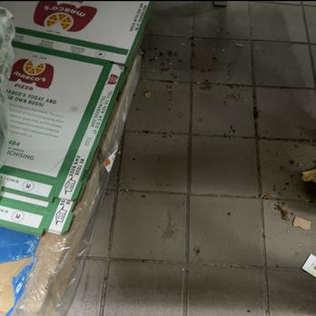 Marco's Pizza - There was live roaches eating the box's the owner forced us to use this for weeks! - Pizza Near Me - Spring, Texas Marco's Pizza - There was live roaches eating the box's the owner forced us to use this for weeks! - Pizza Near Me - Spring, Texas