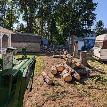 Watkins Tree Experts - End of spruce tree's removed. - Tree Services Near Me - Charlestown, Rhode Island Watkins Tree Experts - End of spruce tree's removed. - Tree Services Near Me - Charlestown, Rhode Island
