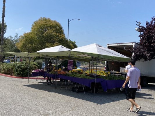 Berryessa Farmers' Market by null