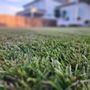 Photo of Living With Soil Landscaping
