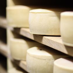 Restaurant Post - Cheese storage
