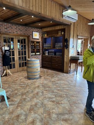 Le Vignoble du Mitan by null