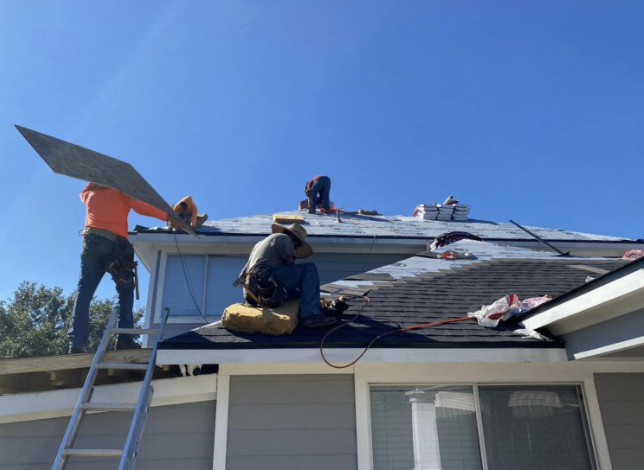 Slide of ACE Contractor