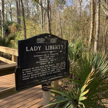 Big Tree Park - Parks Near Me - Longwood, Florida