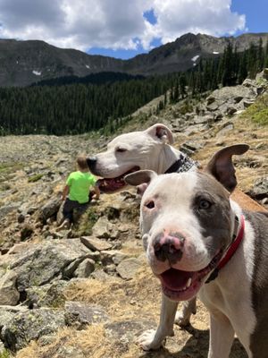 Taos Ski Valley by null