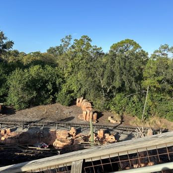 Big Thunder Mountain Railroad - Canyon land - Amusement Parks Near Me - Orlando, Florida