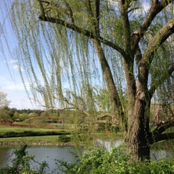 Centreview Drive Pond