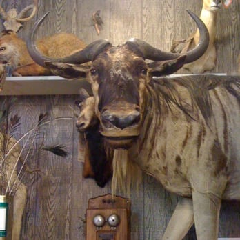 Marsh's Free Museum - Who gnu? - Antiques Near Me - Long Beach, Washington