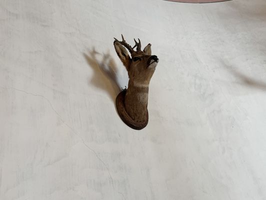 Château de Gruyères by null