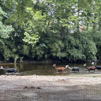 Salisbury Zoological Park - Zoos Near Me - Salisbury, Maryland