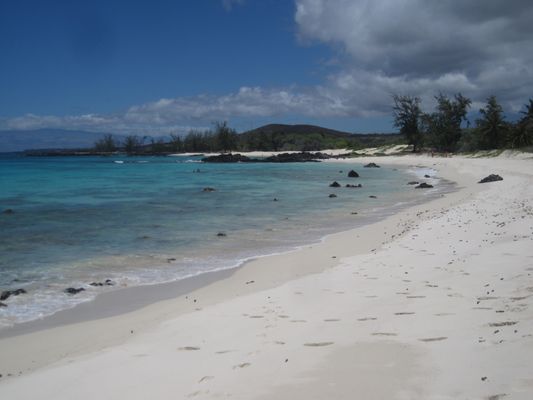 Makalawena Beach by null