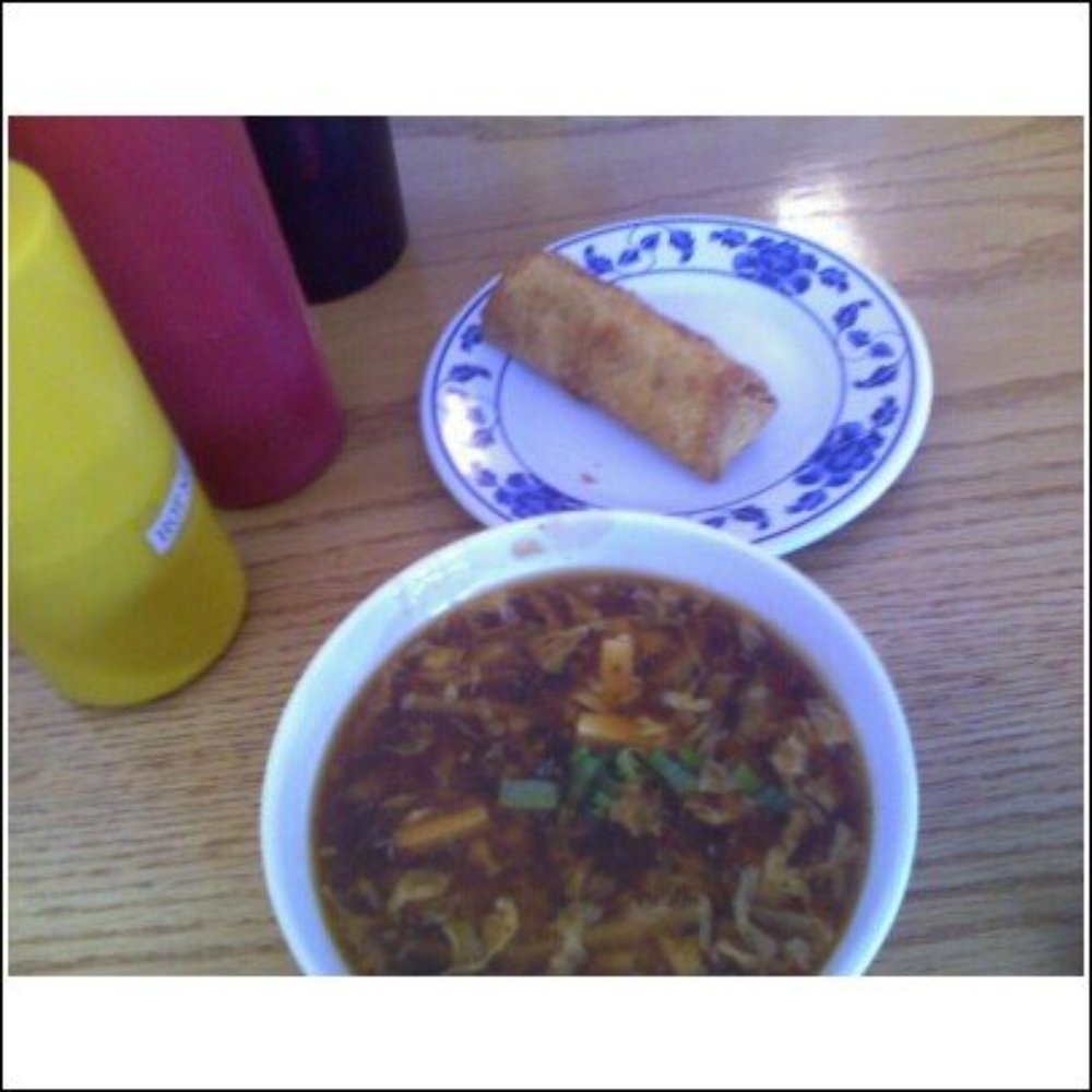 Zhu Garden - Hot and Sour Soup and an Egg Roll - Thai Near Me - Knoxville, Tennessee