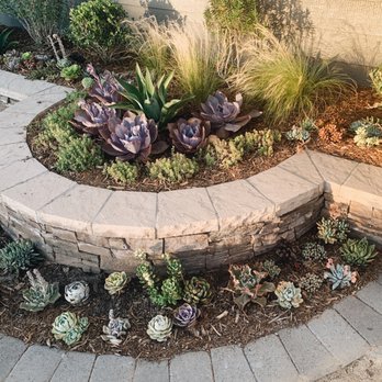 Caliscapes OC - Loved the idea of filling these two tiers with cactii. - Landscaping Near Me