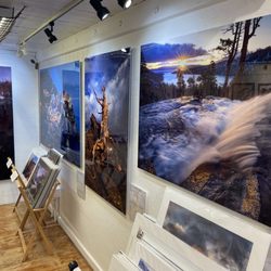 Gallery 5830'