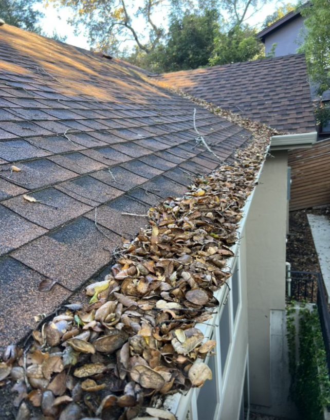 Slide of Pro Gutters cleaning and roofing 