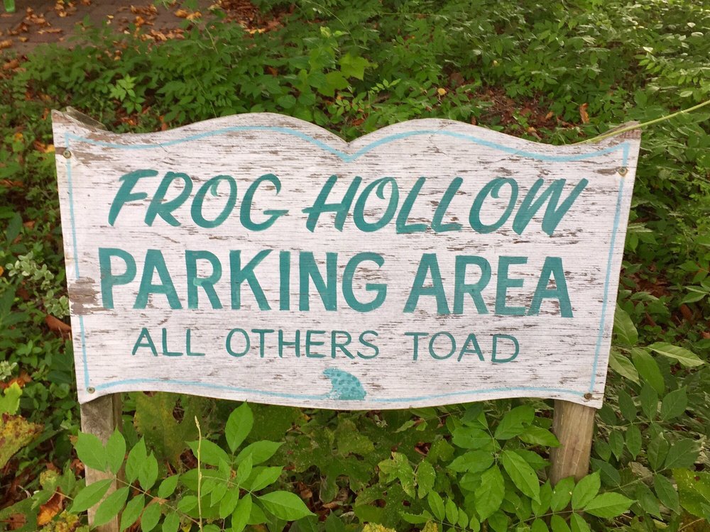 Frog Hollow Donuts Image