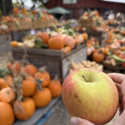 Hale's Apple Farm - 9/2026