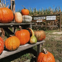 Goose Hill Farm