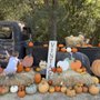Owl Creek Farm