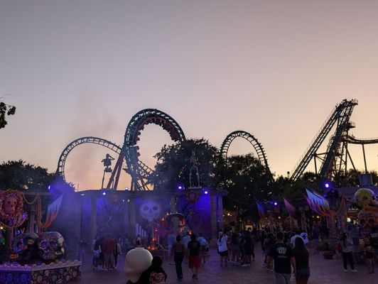 Six Flags Fiesta Texas by null