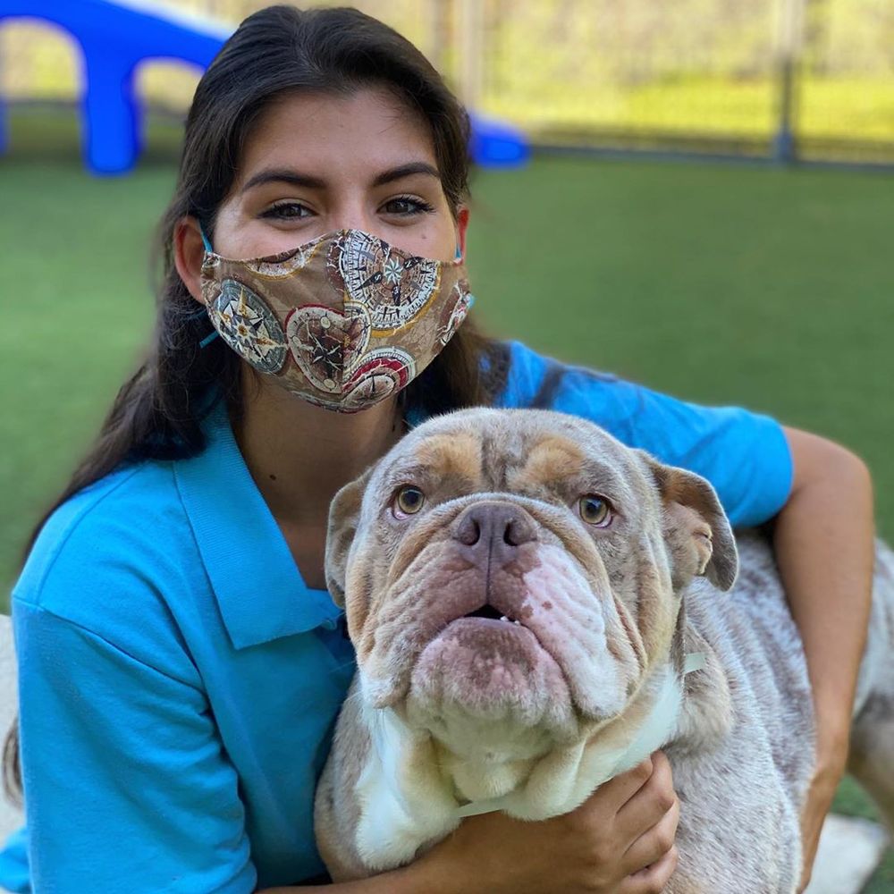 PET PARADISE ST. AUGUSTINE 44 Photos & 35 Reviews Pet Groomers