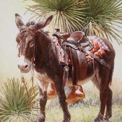 Picture This Gallery - Donkey picture we did not get