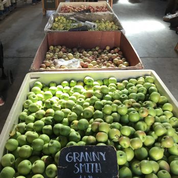 Rainbow Orchards - Granny Smith apples - Fruits & Veggies Near Me - Camino, California Rainbow Orchards - Granny Smith apples - Fruits & Veggies Near Me - Camino, California