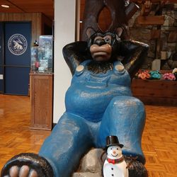 Mountain Mall - Bear