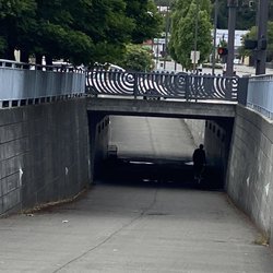 Lake Forest Park Police Department - Sleeper under trail bridge