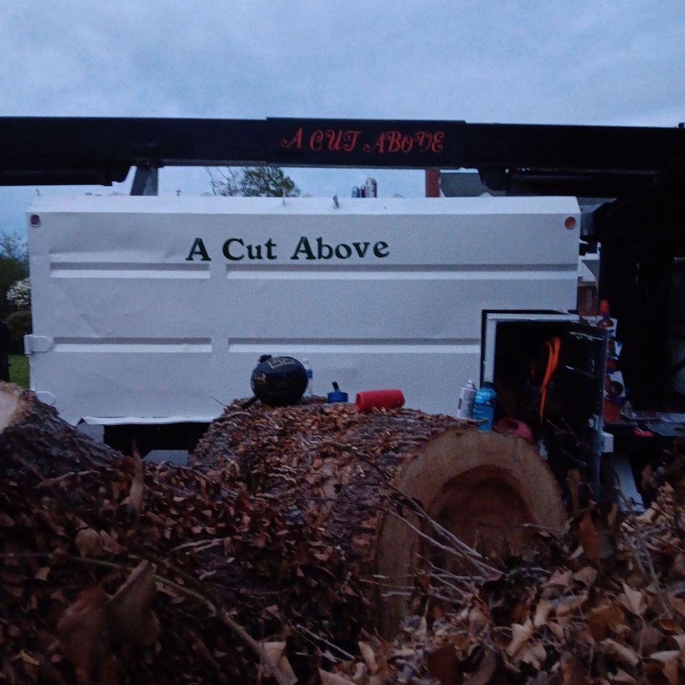 A Cut Above - Tree Services Near Me