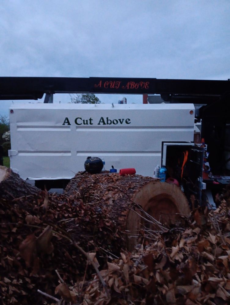 A Cut Above - tree service in Norfolk, VA