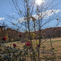 Valley Farms