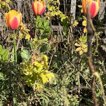 Earthbound Farm Stand - Organic Stores Near Me - Carmel, California